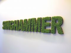 Qualität pur - Fussbodendesign aus Meisterhand.